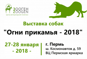 Пермская ярмарка