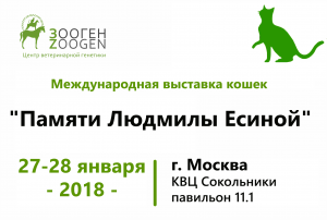 Международная выставка кошек г. Москва