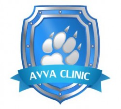 AVVA CLINIC