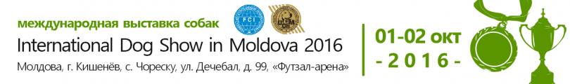 Международная выставка собак в Молдове 