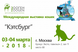 Выставка кошек 