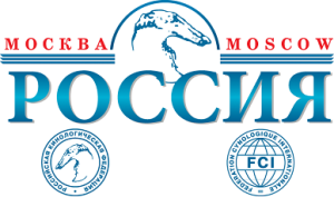 Интернациональная Выставка Собак 