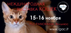 Международная выставка кошек VILNIUS  LGAC