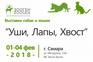 Выставка собак и кошек 