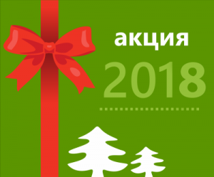 Новогодняя акция 2018