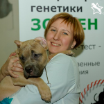 Директор по развитию