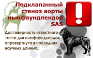 Ввод теста на SAS приостановлен