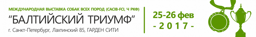 БАЛТИЙСКИЙ ТРИУМФ