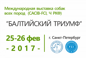 БАЛТИЙСКИЙ ТРИУМФ