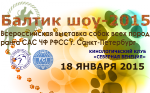 Балтик шоу-2015