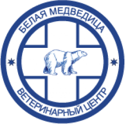 Белая медведица (г. Нижний Новгород)