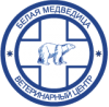 Белая медведица (г. Нижний Новгород)