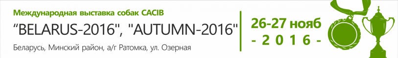 Международная выставка собак CACIB Осень-2016, Беларусь