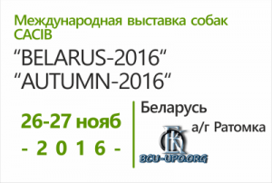 Международная выставка собак CACIB Осень-2016, Беларусь