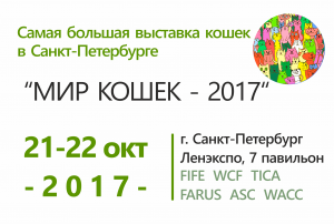 Выставка кошек в Санкт-Петербурге МИР КОШЕК 2017