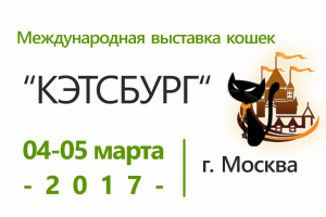 Международная выставка кошек 