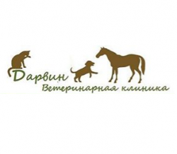 Ветеринарная клиника 