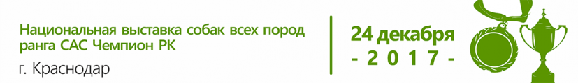 Национальная выставка собак всех пород ранга САС Чемпион РК г. Краснодар