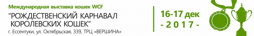 Международная выставка кошек 