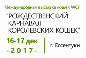 Международная выставка кошек 