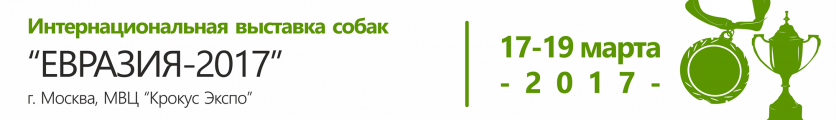 Интернациональная выставка собак 