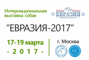 Интернациональная выставка собак 