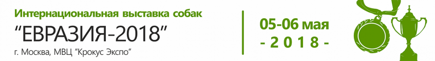 Интернациональная выставка собак 