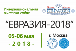 Интернациональная выставка собак 