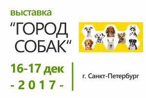 Выставка 