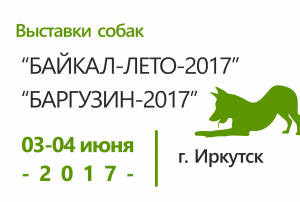 Выставки собак всех пород 