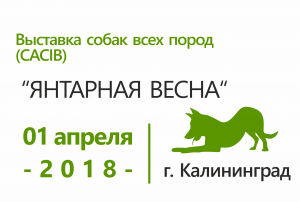 Выставка собак всех пород 