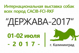 Интернациональная выставка собак всех пород CACIB-FCI-RKF 