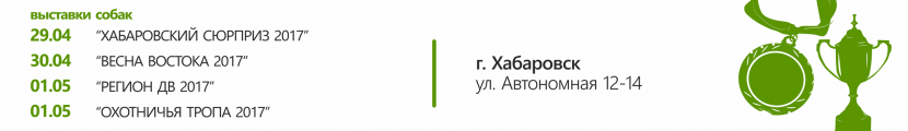Четыре выставки собак всех пород, г.Хабаровск