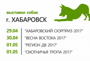 Четыре выставки собак всех пород, г.Хабаровск