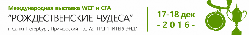 Международная выставка кошек 