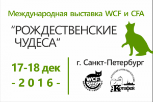 Международная выставка кошек 