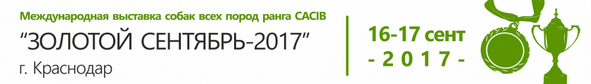 Выставка собак ранга CACIB