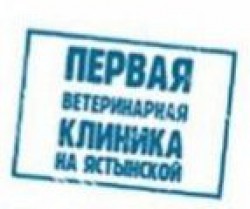 Крылья, ноги и хвост