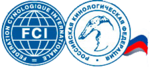 БЕЛЫЕ НОЧИ-2014