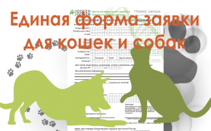 Единая форма заказа для кошек и собак
