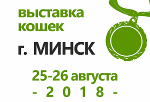 Europe continent show «День рождения в кругу друзей»