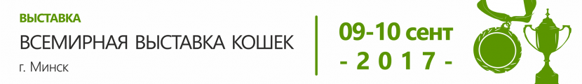Всемирная выставка кошек в Беларуси