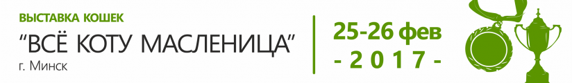 Выставка кошек 