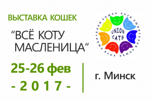 Выставка кошек 
