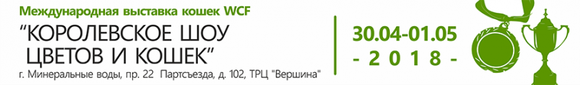 Международная выставка кошек
