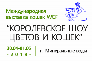 Международная выставка кошек 