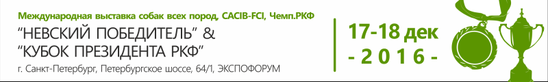 Невский победитель и Кубок Президента РКФ