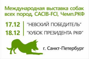 Невский победитель и Кубок Президента РКФ