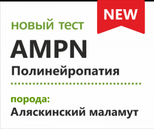 Ранняя прогрессирующая полинейропатия маламутов