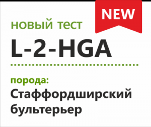 L2HGA L-2-гидроксиглутаровая ацидурия